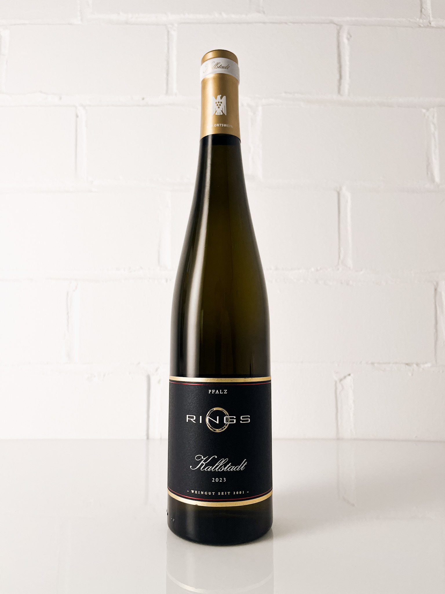 Riesling Kallstadt 2023 -bio-
