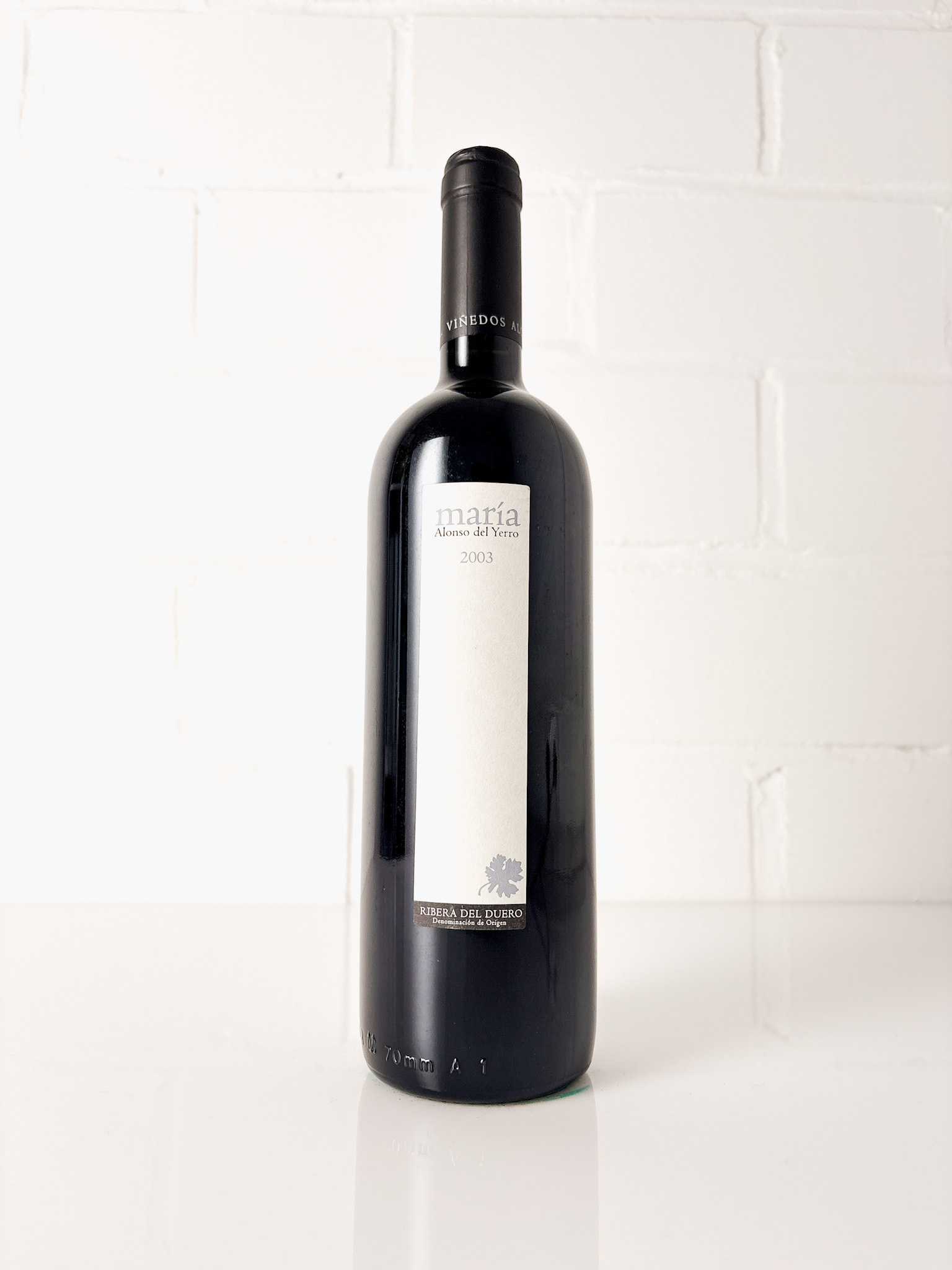 Alonso del Yerro María 2003